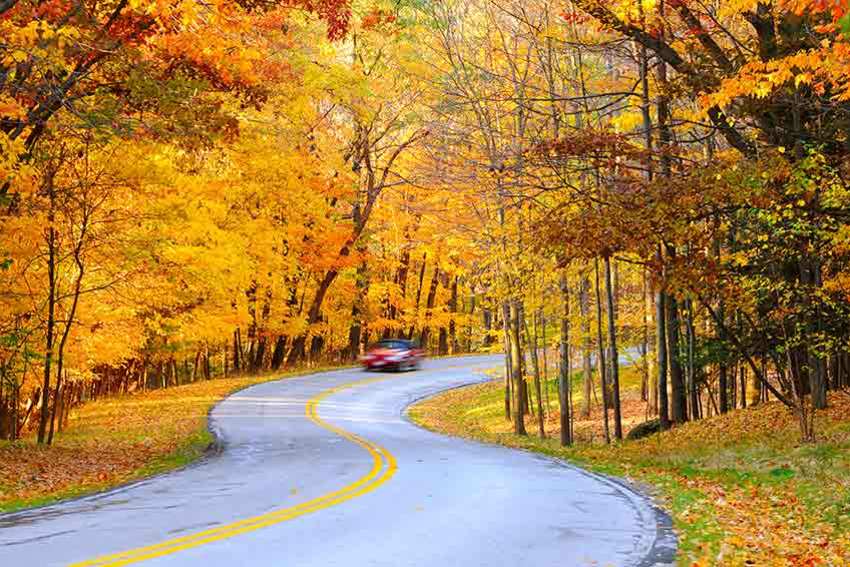 Follow our top tips to ensure that driving in autumn is as peaceful as possible.
